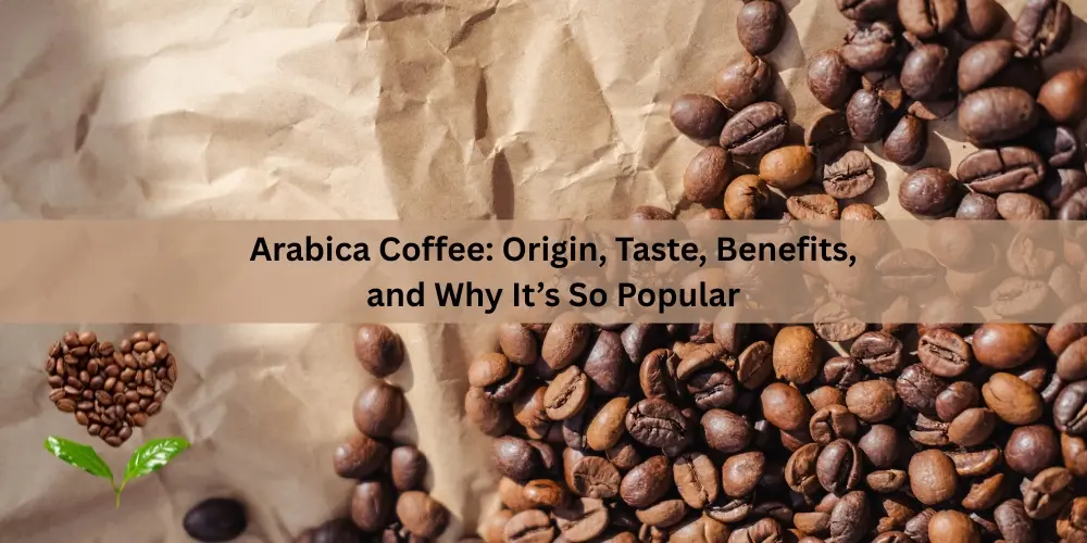 Arabica Coffee: Origin, Taste, Benefits, and Why It’s So Popular