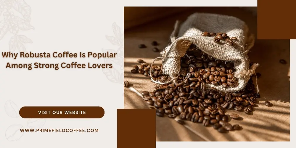 Why Robusta Coffee Is Popular Among Strong Coffee Lovers