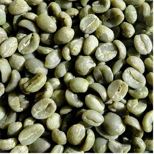 Kenya AA (screen 17/18, largest, premium)