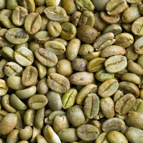 Kenya C (Smaller, Lower Quality)