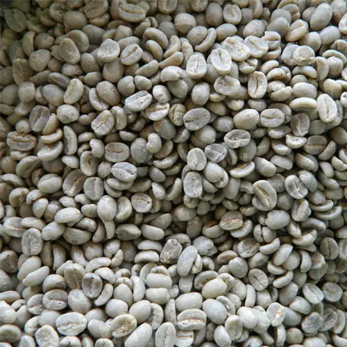 Kenya TT (light beans from AA/AB)