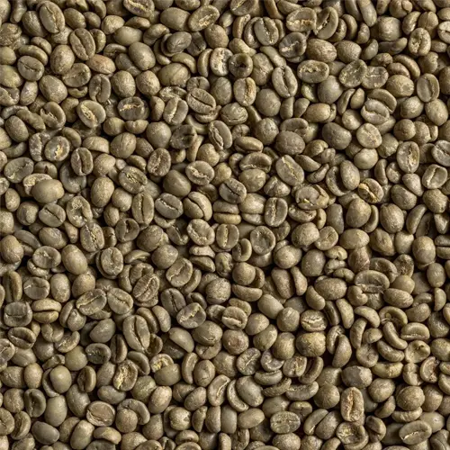 Kenya T (very small beans)