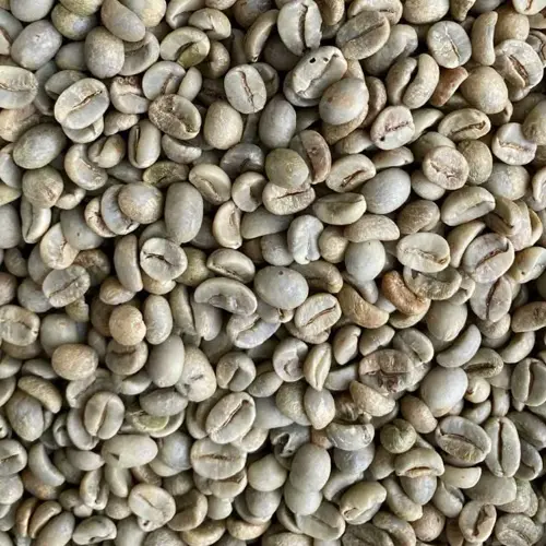 Tanzanian A (screen 16)