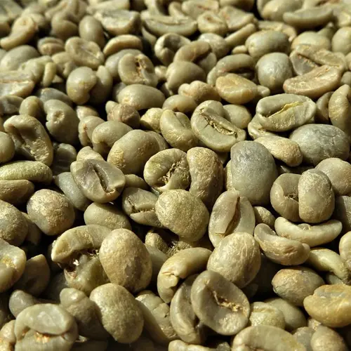 Tanzania B (screen 15)