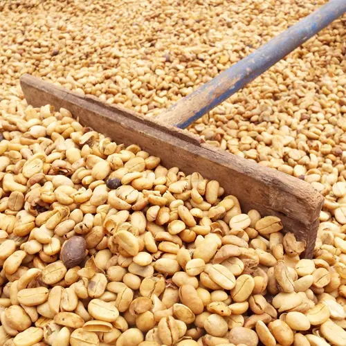 TEX (Tanzania Extra, defective)