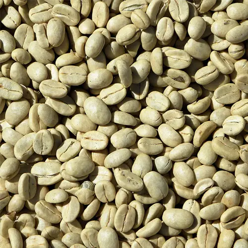 Uganda AA (largest, screen 17, high quality)