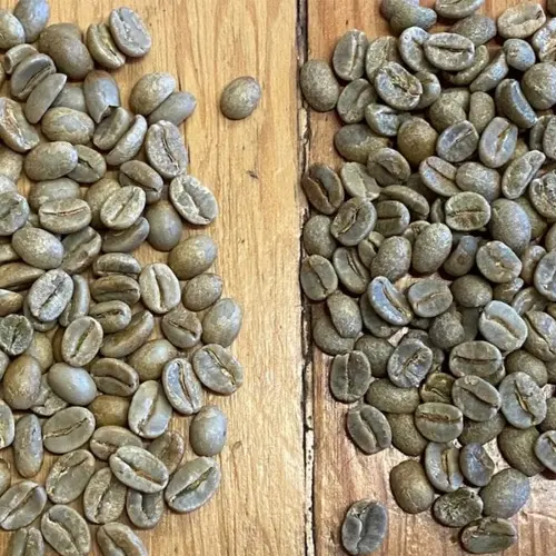 Uganda A (screen 16)