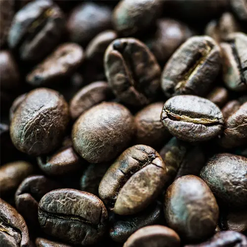 Uganda Elephants (oversized, rare)