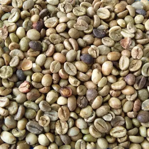 Uganda Screen 18 (largest, premium)