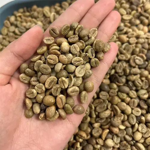 tanzania Screen 18 (Extra, high quality)