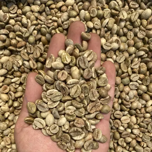 Kenya (screen 17/18, largest)